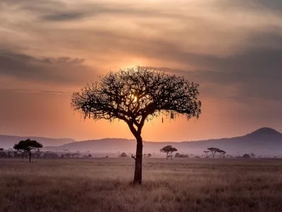 Parc national en Tanzanie safari halal Serengeti Ngorongoro
